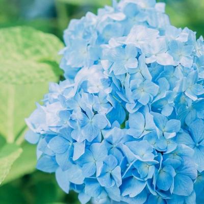 麻将胡了pg网站