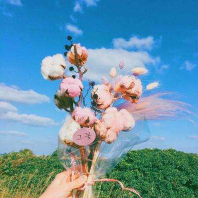 汇彩网登录大厅